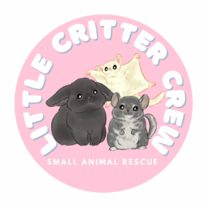 little critter